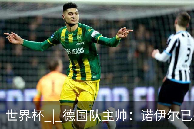 世界杯 | 德国队主帅：诺伊尔已完全康复